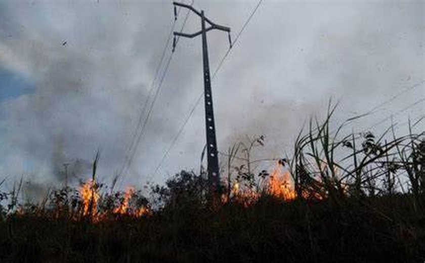 Queimadas deixam mais de 165 mil consumidores sem energia em Alagoas