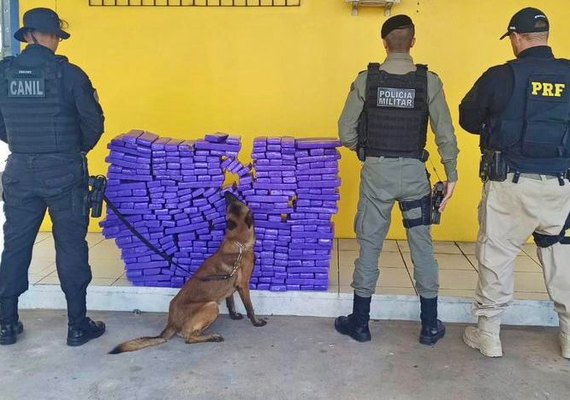 Operação conjunta resulta na apreensão de aproximandente 194 kg de maconha, em São Sebastião