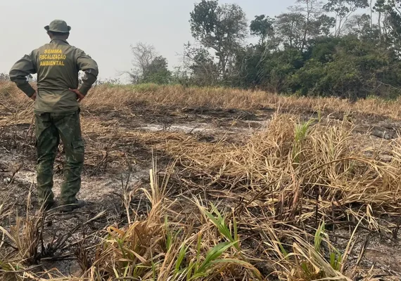 Brasil reduz 70% da área queimada no primeiro trimestre de 2025