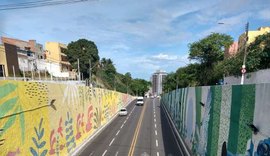 Em parceria com Ibratin, Projeto Mais Cor conclui intervenções no viaduto 'União e Força'