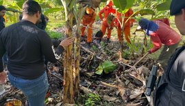 Conheça Hope, cadela que localizou ossada humana enterrada a aproximadamente 3 metros