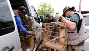 FPI resgata cerca de 200 animais silvestres em dois dias de atuação
