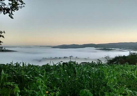 Municípios alagoanos registram baixa temperatura nesta sexta-feira (14)