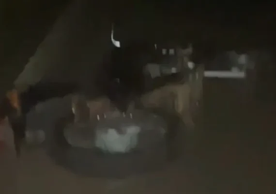 Motociclista morre ao perder controle do veículo e cair em curva, em Lagoa da Canoa
