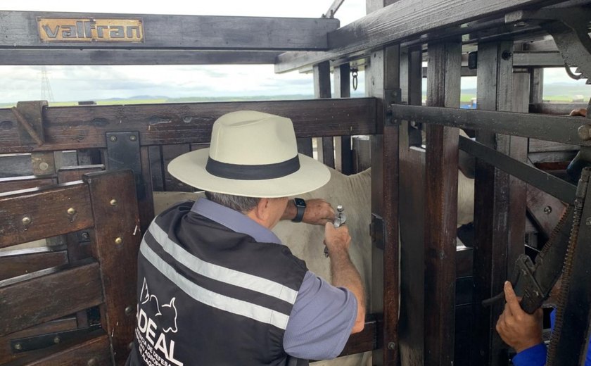 Adeal realiza vacinação assistida de animais contra a febre aftosa em Rio Largo