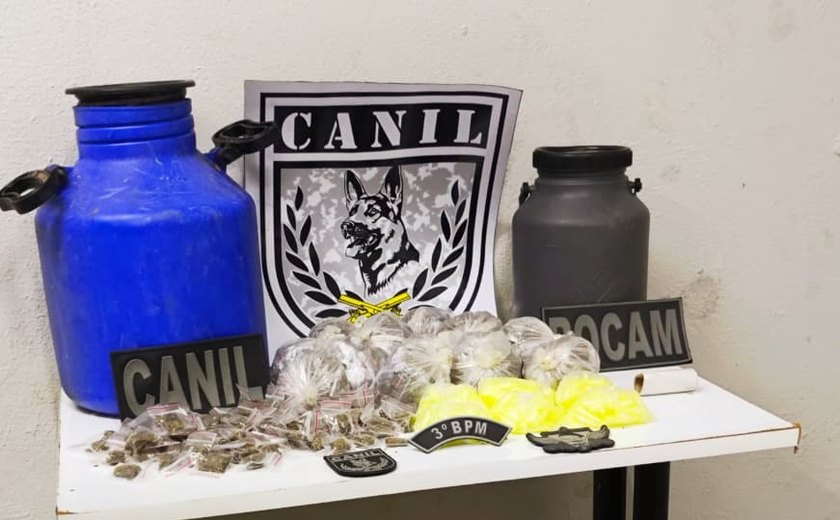 Polícia Militar prende suspeito de tentativa de homicídio e apreende entorpecentes em ações distintas em Arapiraca