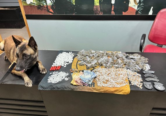 PM/AL contabiliza quase 50 quilos de drogas e 25 armas de fogo apreendidos em uma semana