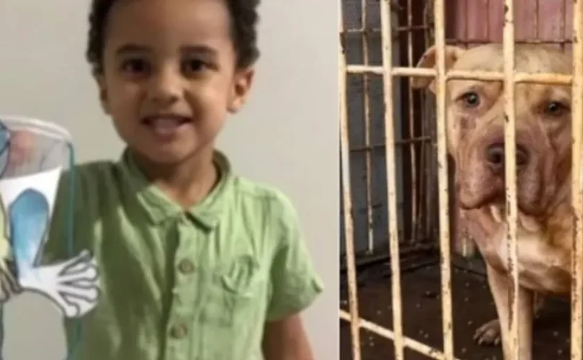 Menino de 3 anos morre após ser atacado por pit-bull