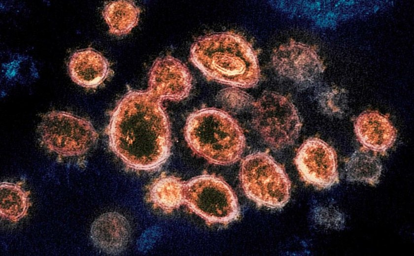 Infecção pelo coronavírus pode deixar efeitos respiratórios, cardiológicos e neurológicos