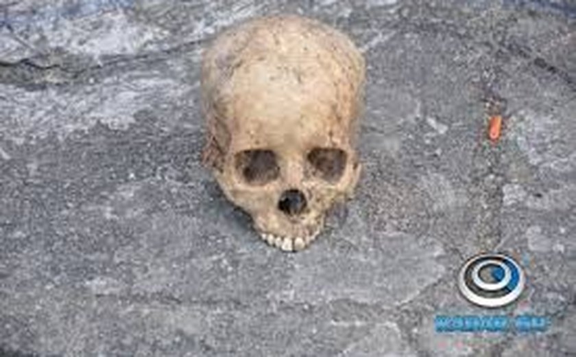 Crânio humano é achado às margens da Rodovia AL-220
