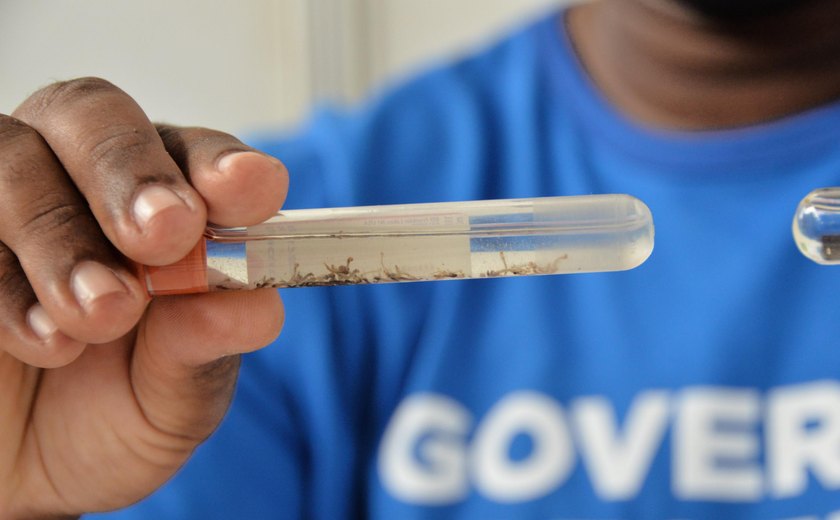 Ministério da Saúde aponta queda de 58% nos casos de dengue em Alagoas