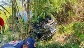 Motorista perde controle de veículo  e invade área de vegetação em Maragogi