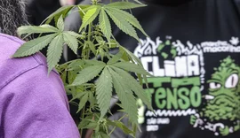 Flagrante por drogas gera mais prisão preventiva do que outros crimes