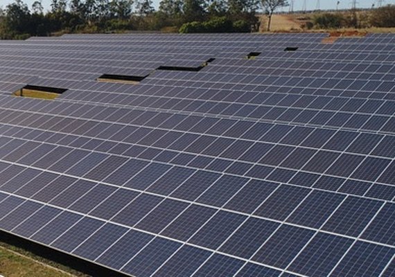 Produtores rurais investem em energia solar para reduzir custos
