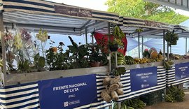 Sedics consolida avanços e fortalece desenvolvimento econômico de AL