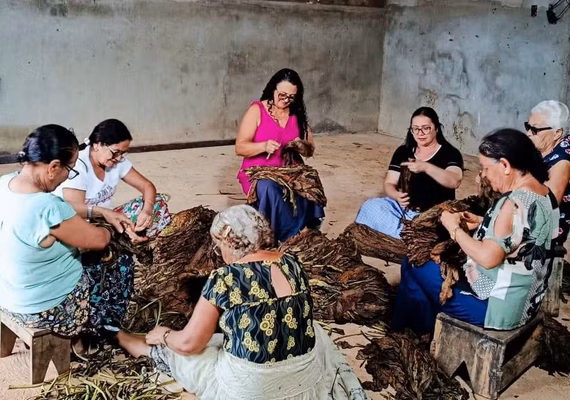 Destaladeiras de fumo mantêm viva a tradição cultural de Arapiraca com apresentação no Theatro Homerinho