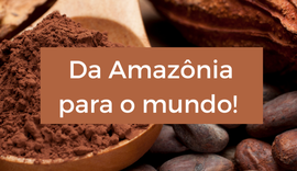 Chocolates produzidos no Pará chamam atenção do mundo