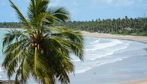 'A gente não tem mais orla, a gente tem ponto de visita': a Rota dos Milagres e a espoliação silenciosa no litoral norte de Alagoas