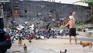 No Barro Duro, contador alimenta pombos e considera ato um ‘presente de Deus’