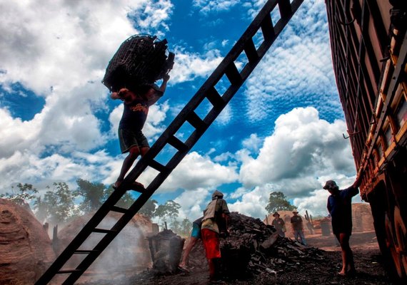 'Lista de Transparência' tem 250 flagrados por trabalho escravo