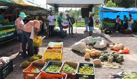 Feira Camponesa itinerante acontece na Serraria nesta semana