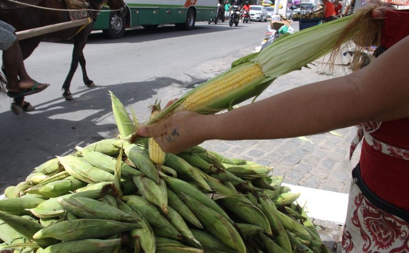 Com proximidade de festas juninas, preço do milho assusta consumidor maceioense
