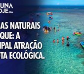 Piscinas naturais do Toque em maré baixa: o melhor passeio da rota ecológica