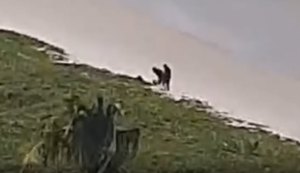 Dois homens são flagrados fazendo sexo na faixa de areia da Praia da Avenida