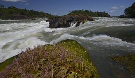 Brasil é o país que mais altera leis que deveriam proteger a Amazônia, diz estudo