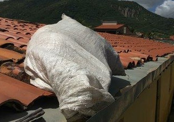 Justiça determina júri popular para acusado de estuprar e matar criança em Maravilha