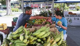 Última feira agroecológica do ano com sorteio de mudas e vale-compras