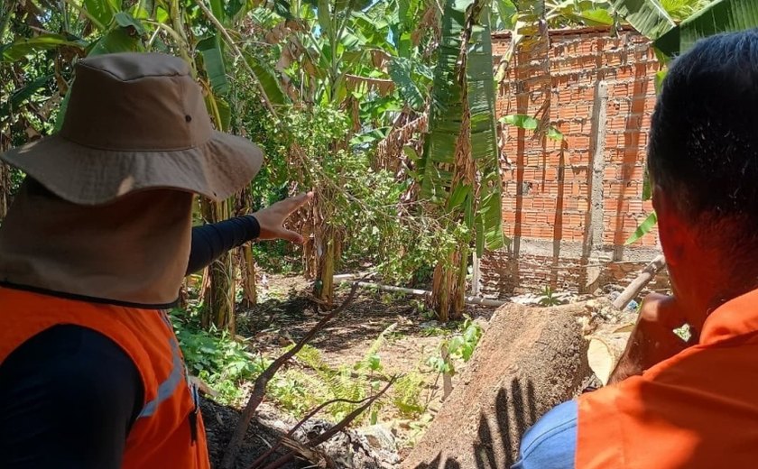 Análise técnica da Defesa Civil reforça prevenção de acidentes causados por árvores