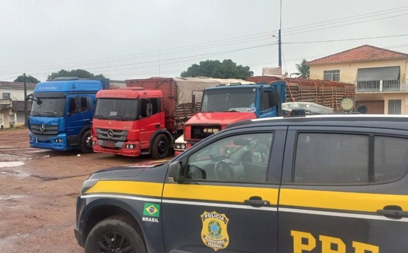 PRF apreende cerca de 31 mil tijolos transportados com irregularidades fiscais em Alagoas