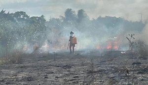 Bombeiros combatem incêndio em vegetação próxima a tubulações da Petrobras