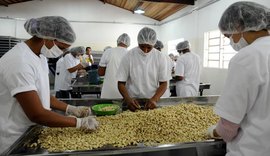 Fábrica de Castanhas será inaugurada através de incentivo estadual