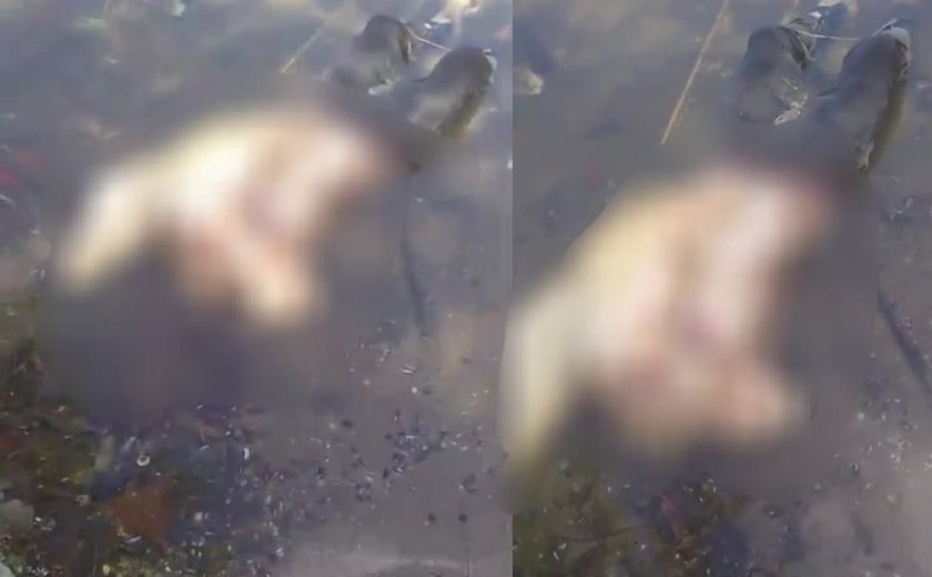 Jovem desaparecido é encontrado morto às margens da Lagoa Mundaú em Maceió