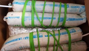 Alagoanos suspeitos de integrar quadrilha morrem em confronto com a PM em Goiás