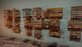 PM flagra crimes ambientais em operação na Zona da Mata alagoana