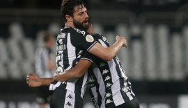 Botafogo vence Avaí e deixa a zona de rebaixamento do Brasileirão