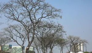 Grande parte do país tem temperaturas elevadas nesta terça-feira