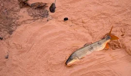 Samarco e Vale são multadas em mais de R$ 1,8 bilhão
