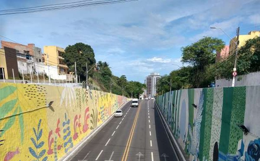 Em parceria com Ibratin, Projeto Mais Cor conclui intervenções no viaduto 'União e Força'