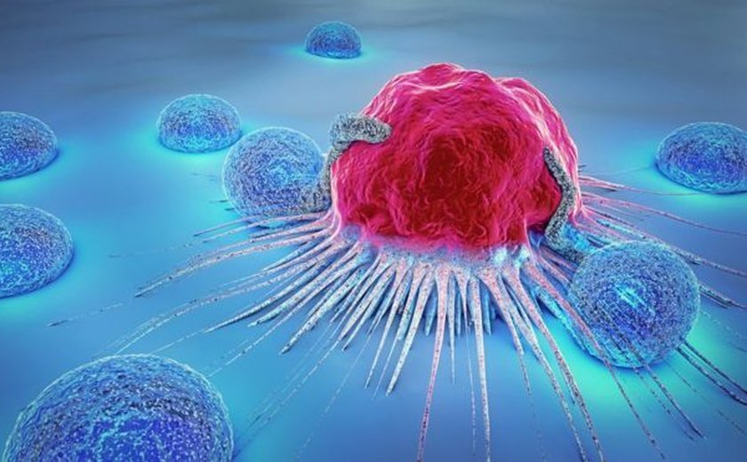 Cientistas dizem ter achado 'cura definitiva' para câncer