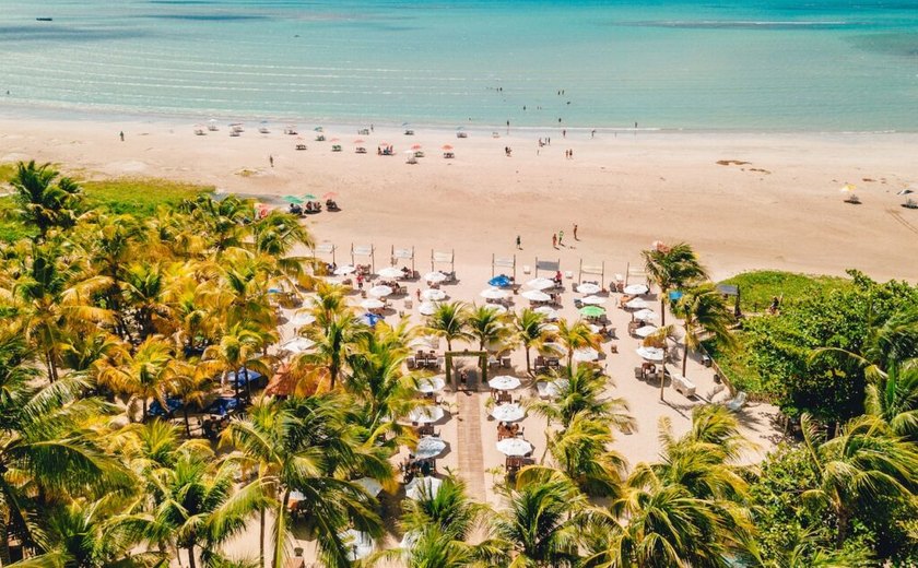 Mar & Cia e Hibiscus agora são o Grupo Hibiscus