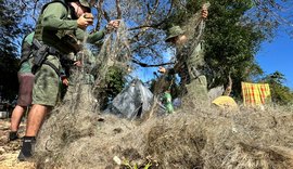 Guardiões do Velho Chico: combate à pesca predatória protege vida e sustento no São Francisco