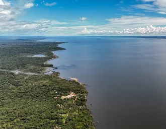 Veja os planos de governo de Flávio Bolsonaro e Lula para meio ambiente e clima