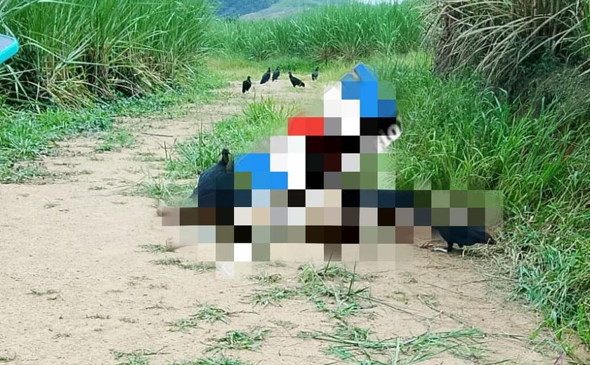 Corpo é encontrado em área de mata em Matriz de Camaragibe