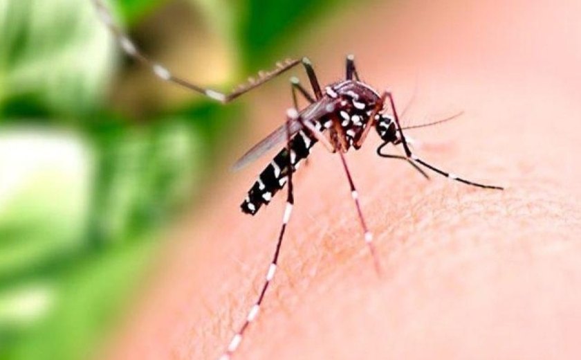 Saúde orienta população sobre cuidados com casas e empresas fechadas durante o Carnaval