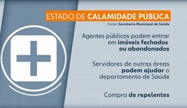 Febre amarela leva Mairiporã-SP a decretar situação de calamidade pública