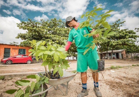 Prefitura de Maceió alerta para furtos de plantas em espaços públicos